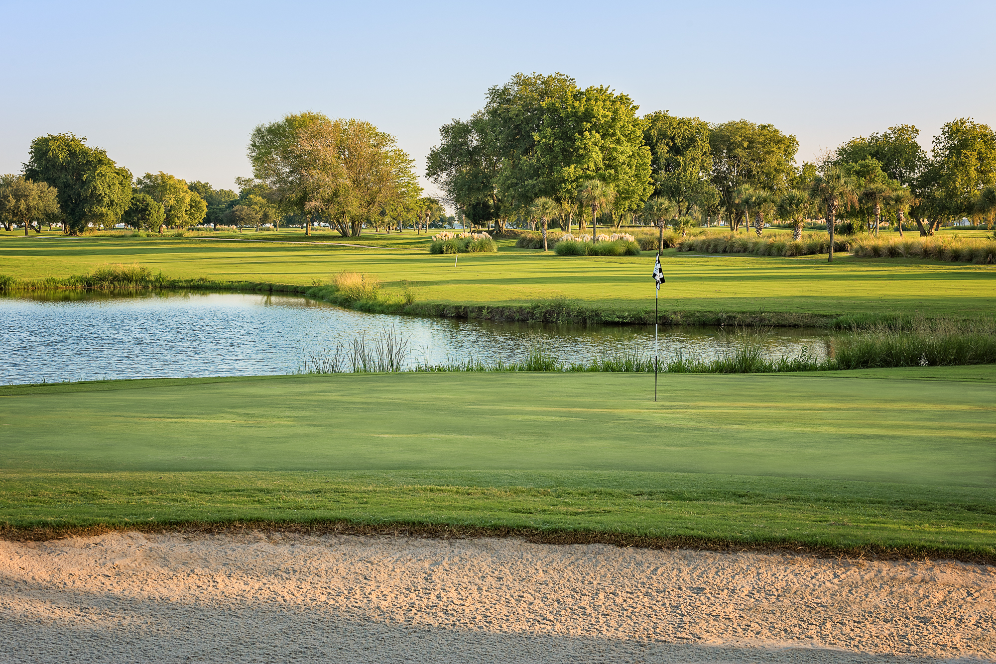 golf course green