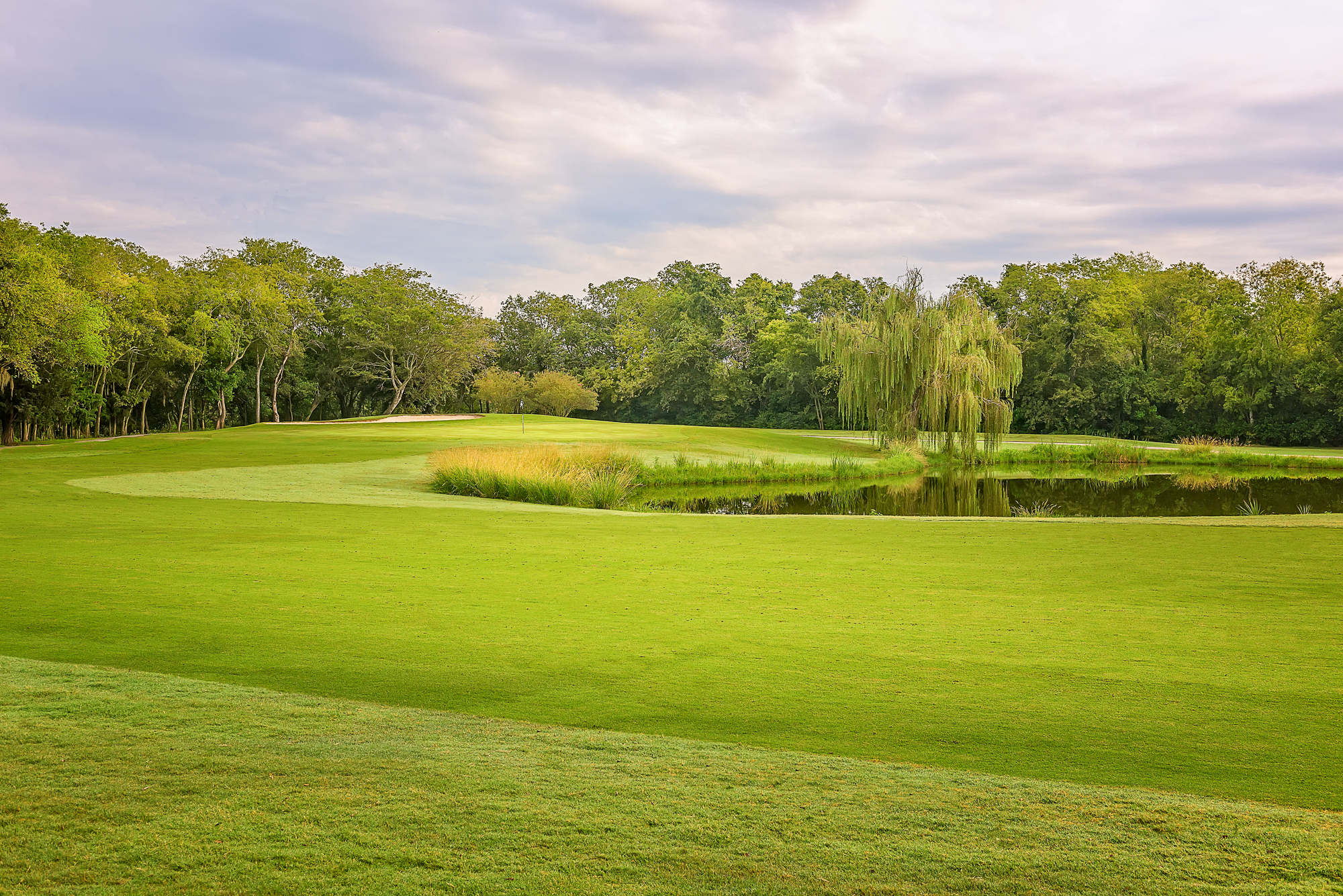 golf course fairway with trees